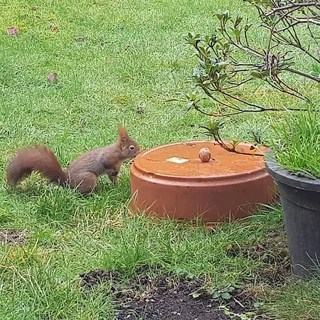 Tolstov House - 6 With Garden - 15 Min Messe Dus & Airport Dus Daire *