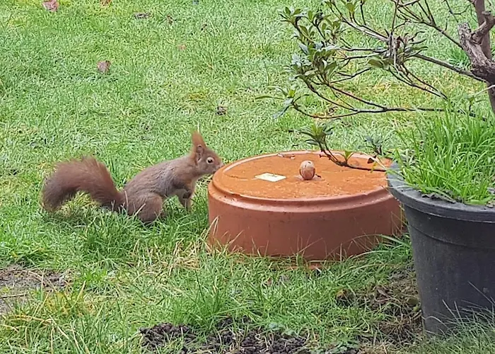 Tolstov House - 6 With Garden - 15 Min Messe Dus & Airport Dus Appartement *