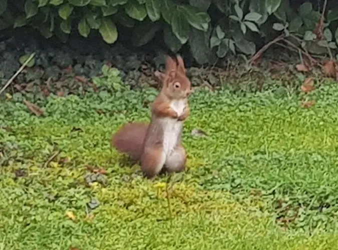 Appartement Tolstov House - 6 With Garden - 15 Min Messe Dus & Airport Dus Meerbusch